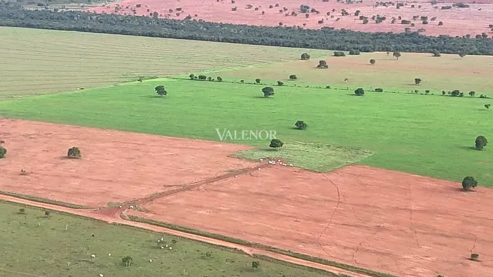 Fazenda, 3256 hectares - Foto 10