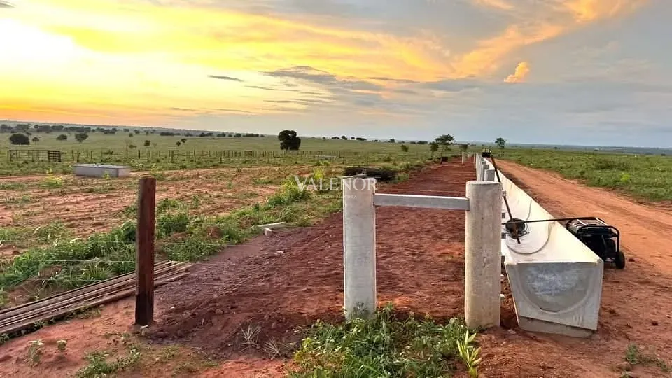 Fazenda, 3256 hectares - Foto 1