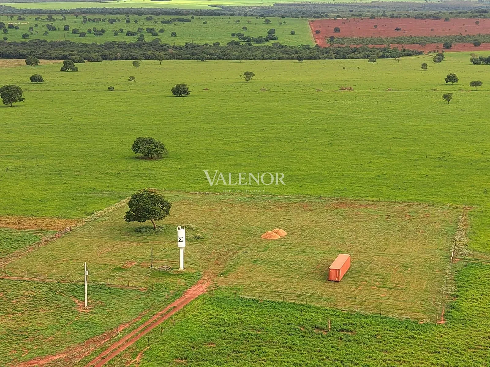 Fazenda, 3256 hectares - Foto 8