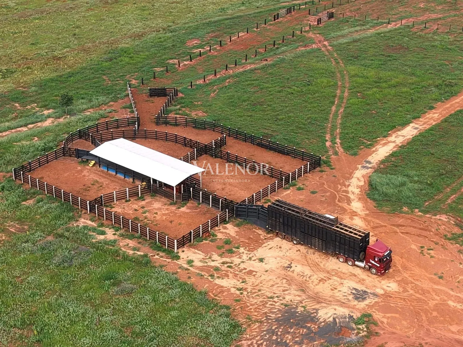 Fazenda, 3256 hectares - Foto 4