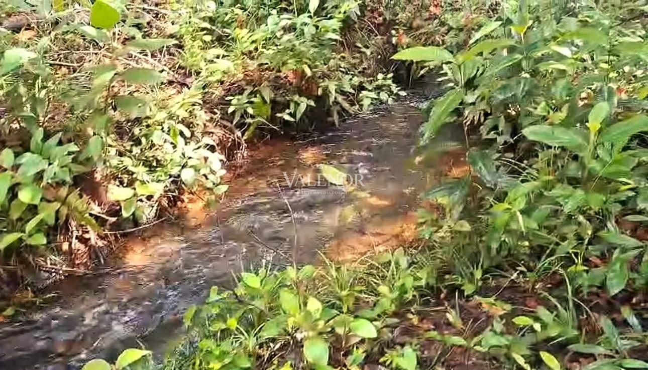 Fazenda, 3256 hectares - Foto 13