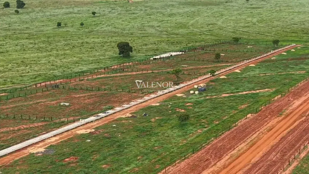 Fazenda, 3256 hectares - Foto 2