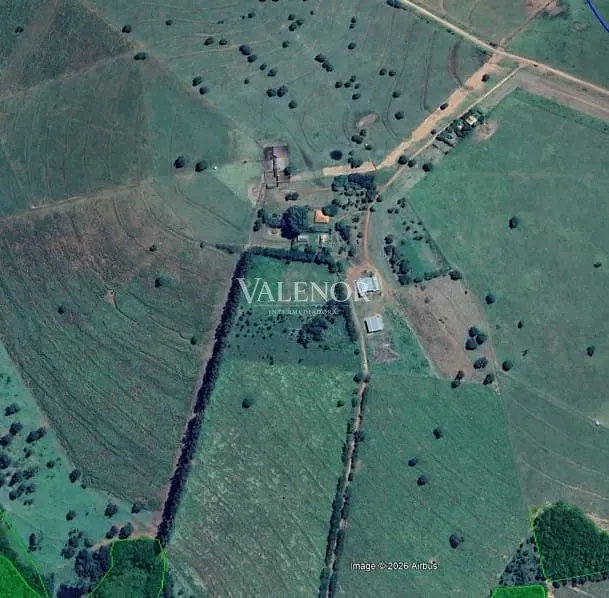 Fazenda, 3256 hectares - Foto 15