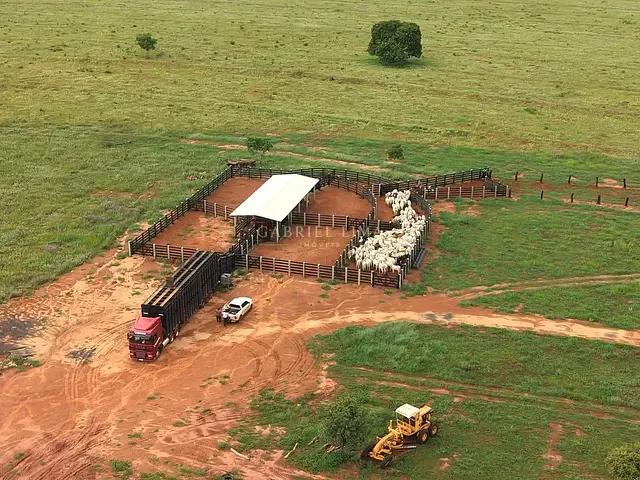 Fazenda com 32560000m² 3 quartos e 3 banheiros, à venda, no bairro Centro em Paraíso das Águas