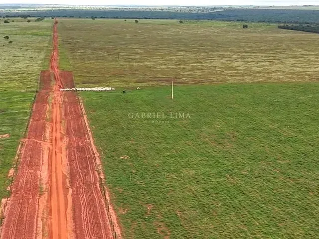 Fazenda com 32560000m² 3 quartos e 3 banheiros, à venda, no bairro Centro em Paraíso das Águas