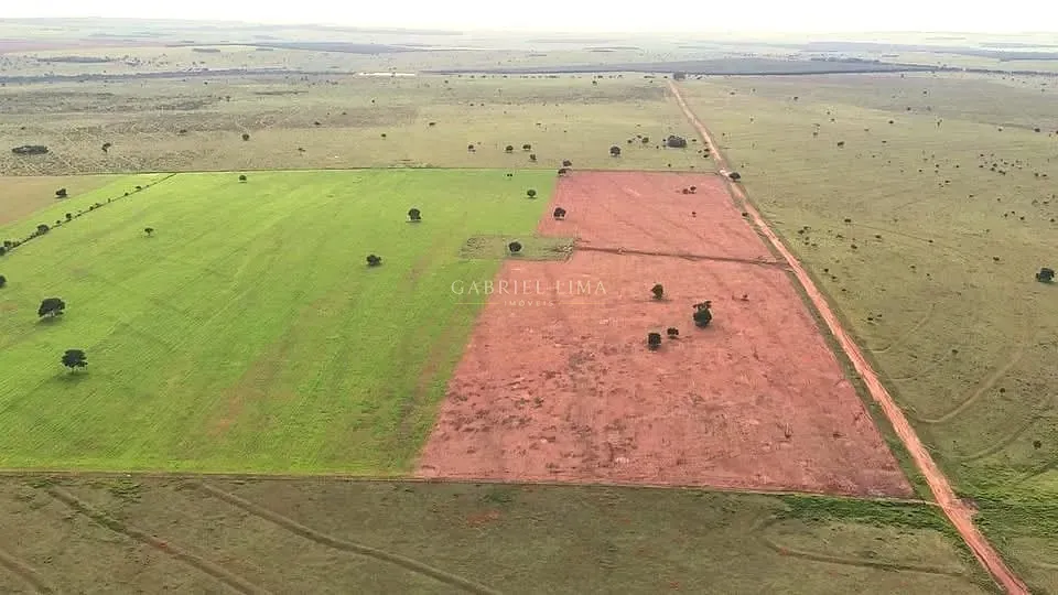 Fazenda, 3256 hectares - Foto 7