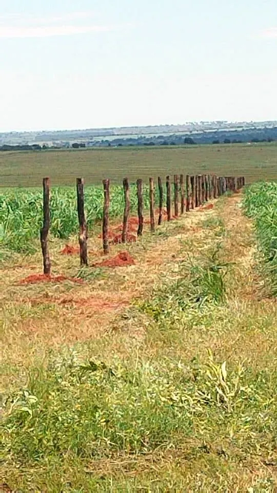 Fazenda, 3256 hectares - Foto 11