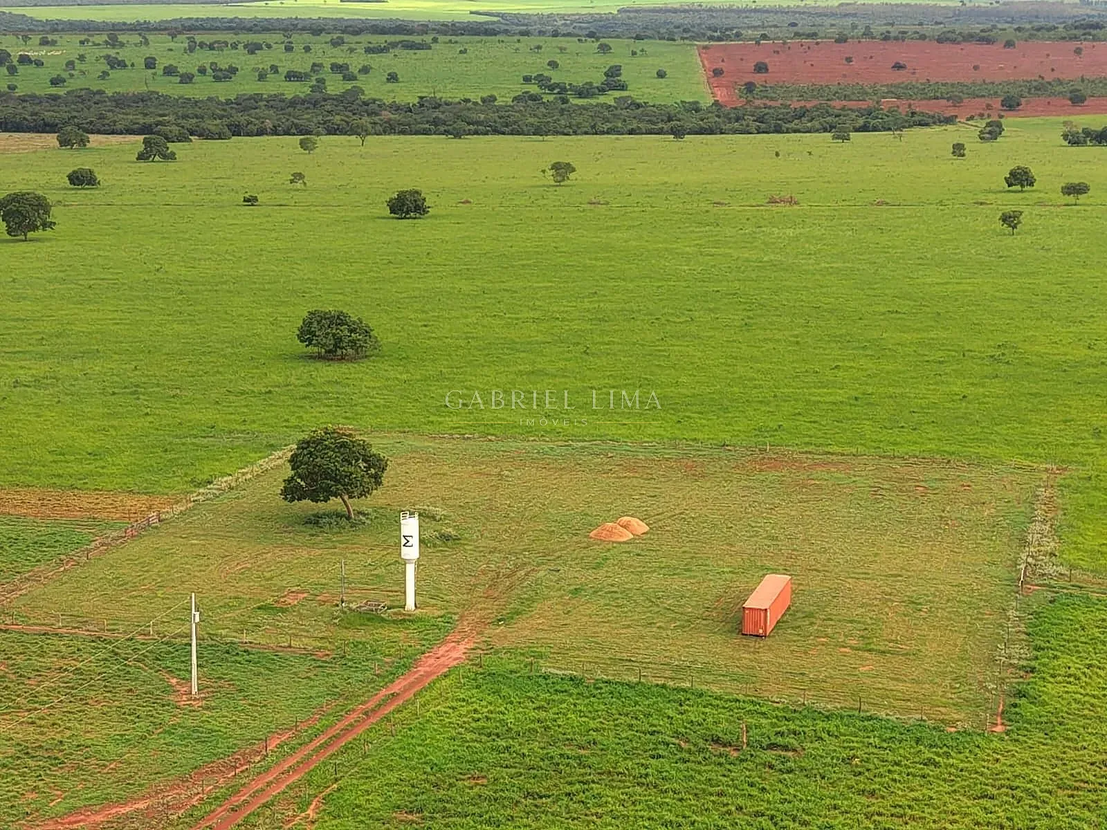 Fazenda, 3256 hectares - Foto 8