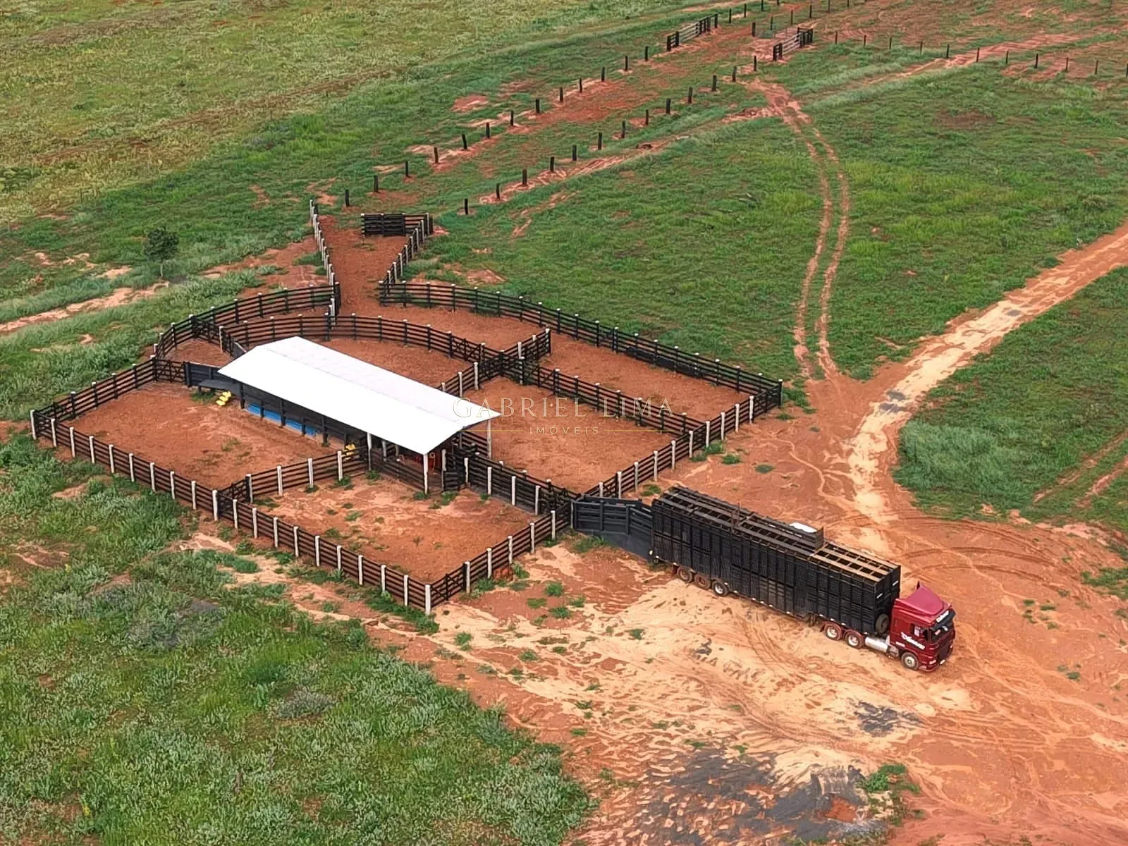 Fazenda, 3256 hectares - Foto 4