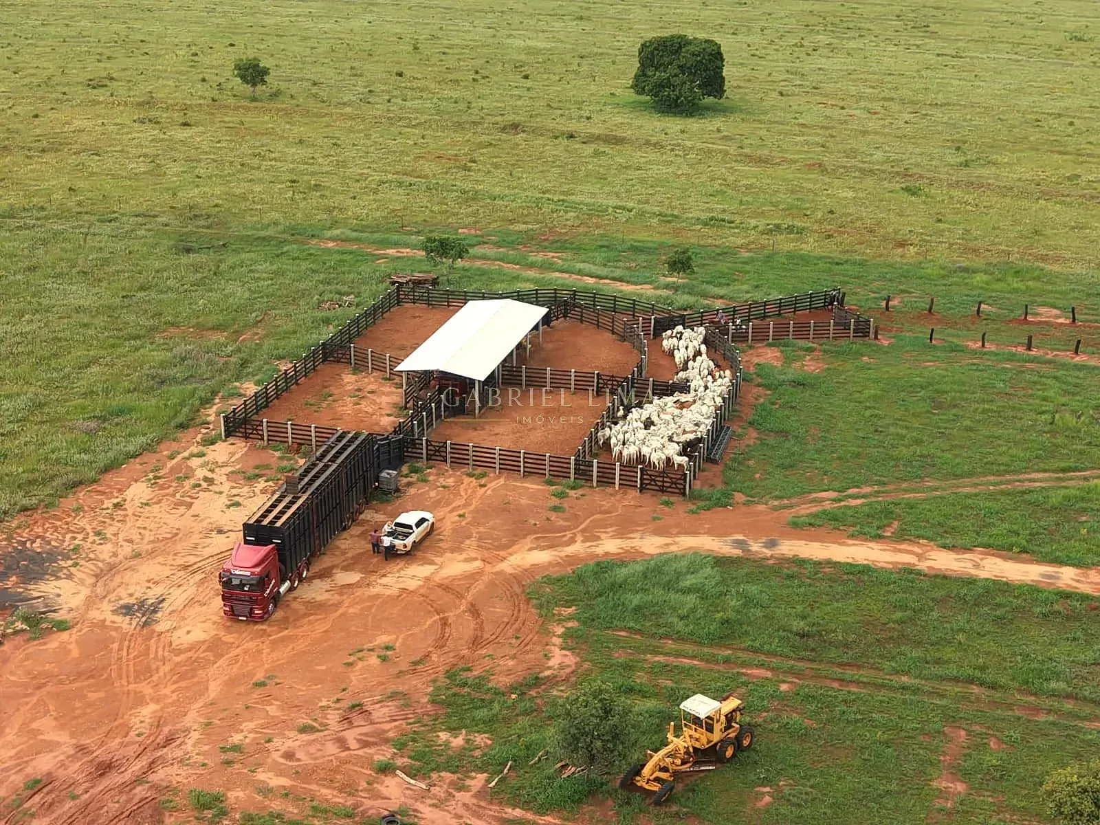 Fazenda, 3256 hectares - Foto 3