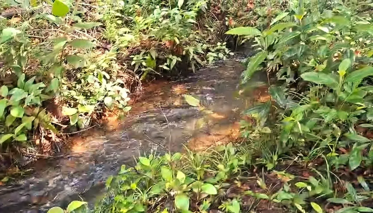 Fazenda, 3256 hectares - Foto 13
