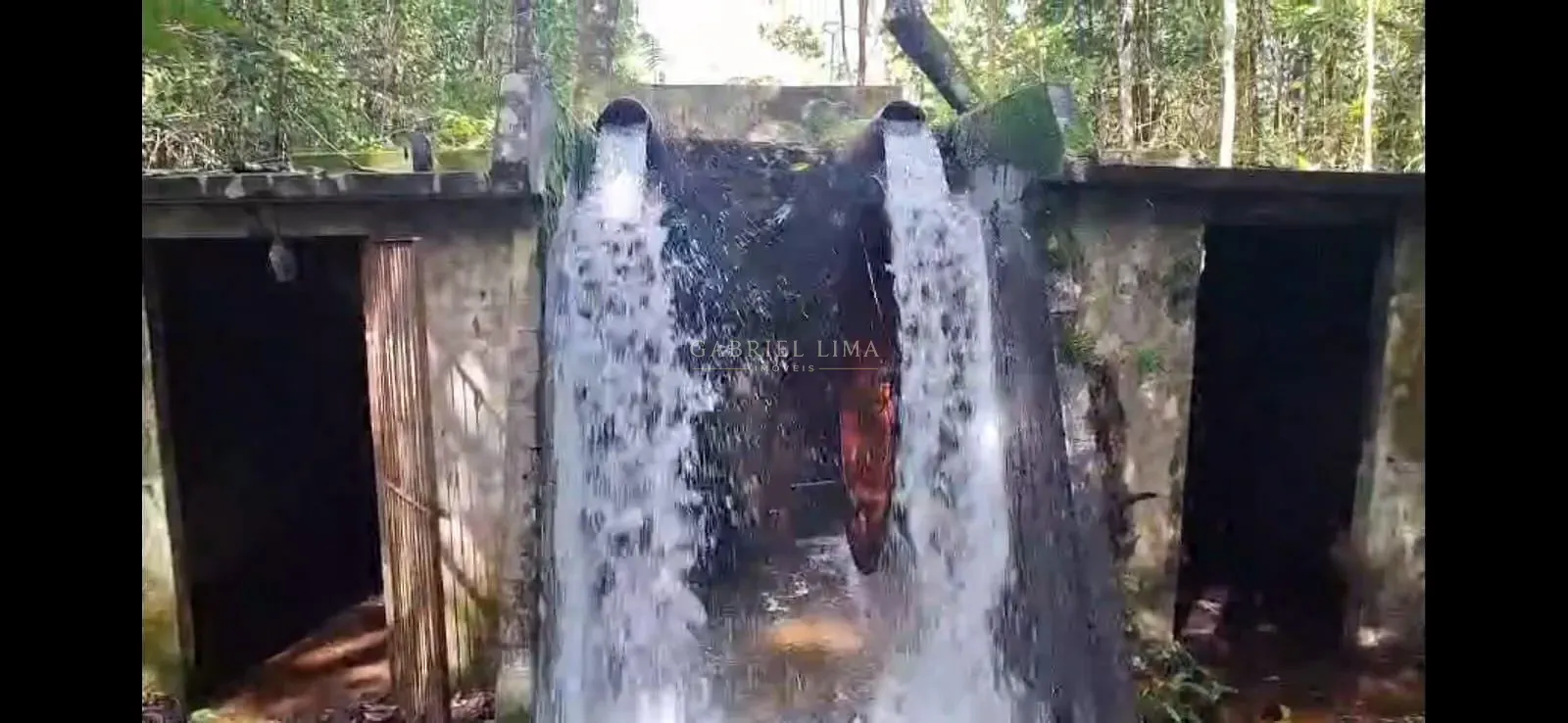 Fazenda, 3256 hectares - Foto 14