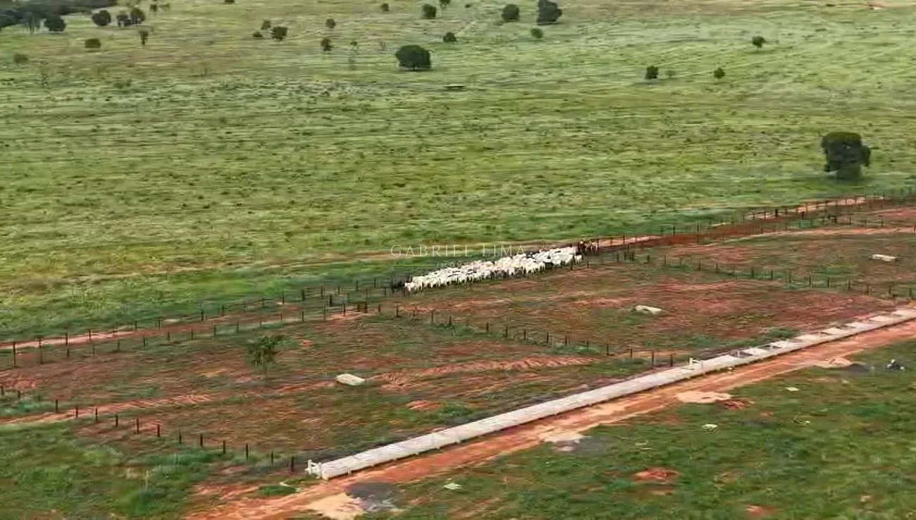 Fazenda, 3256 hectares - Foto 6