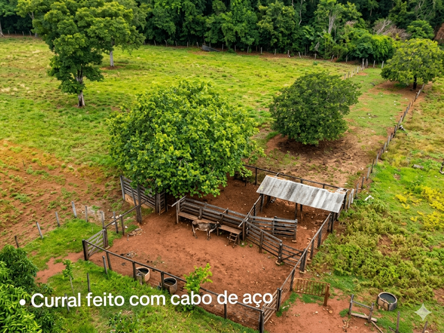 Fazenda com 817960m² 3 quartos e 1 banheiro, à venda, no bairro 0 em Ipueiras