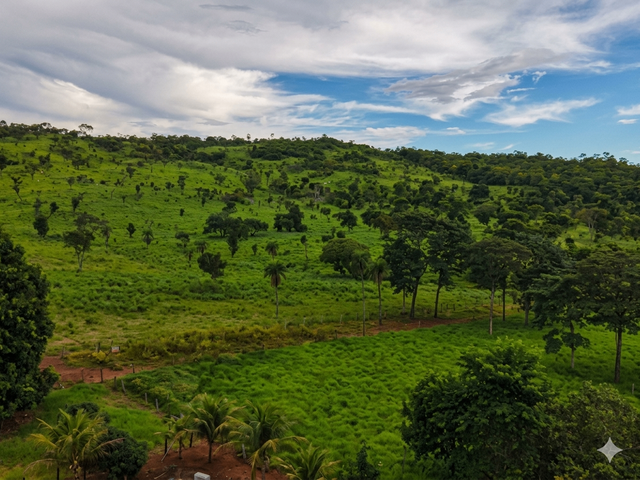 Fazenda com 817960m² 3 quartos e 1 banheiro, à venda, no bairro 0 em Ipueiras