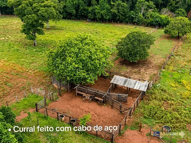 Fazenda com 817960m² 3 quartos e 1 banheiro, à venda, no bairro 0 em Ipueiras