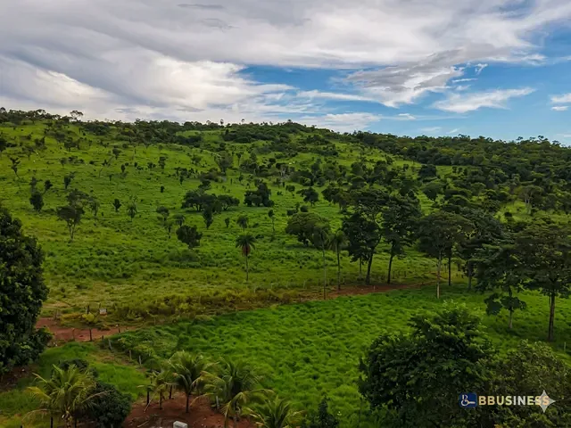 Fazenda com 817960m² 3 quartos e 1 banheiro, à venda, no bairro 0 em Ipueiras