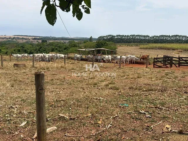 Fazenda com 363m² 4 quartos e 2 banheiros, à venda, no bairro Zona rural em Brazabrantes