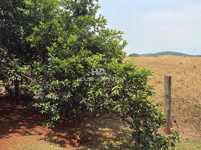 Fazenda com 363m² 4 quartos e 2 banheiros, à venda, no bairro Zona rural em Brazabrantes