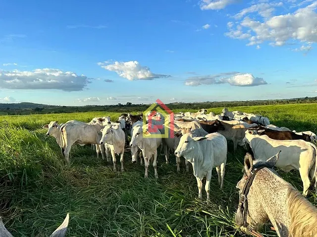 Fazenda com 1645600m², à venda, no bairro Zona Rural em Eldorado do Carajás