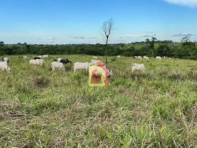 Fazenda com 1645600m², à venda, no bairro Zona Rural em Eldorado do Carajás