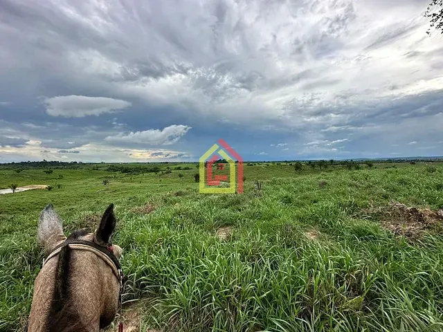 Fazenda com 1645600m², à venda, no bairro Zona Rural em Eldorado do Carajás