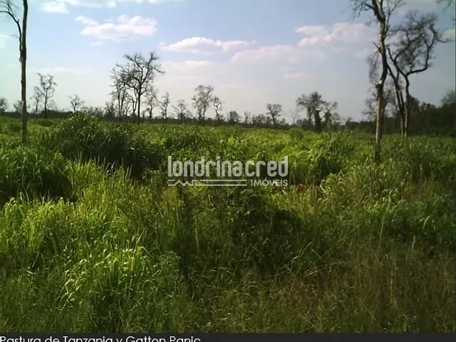 Fazenda à venda, no bairro Área Rural de Foz do Iguaçu em Foz do Iguaçu