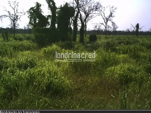 Fazenda à venda, no bairro Área Rural de Foz do Iguaçu em Foz do Iguaçu