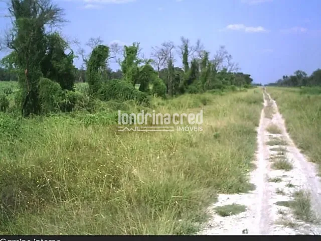 Fazenda à venda, no bairro Área Rural de Foz do Iguaçu em Foz do Iguaçu