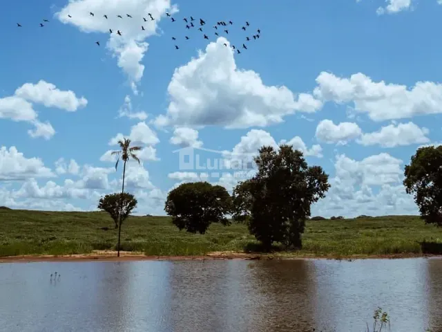 Fazenda com 9470000m², à venda, no bairro Zona Rural em Verdelândia