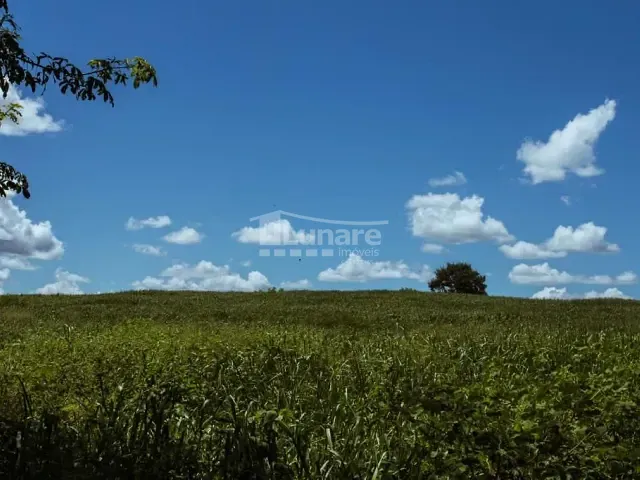 Fazenda com 9470000m², à venda, no bairro Zona Rural em Verdelândia