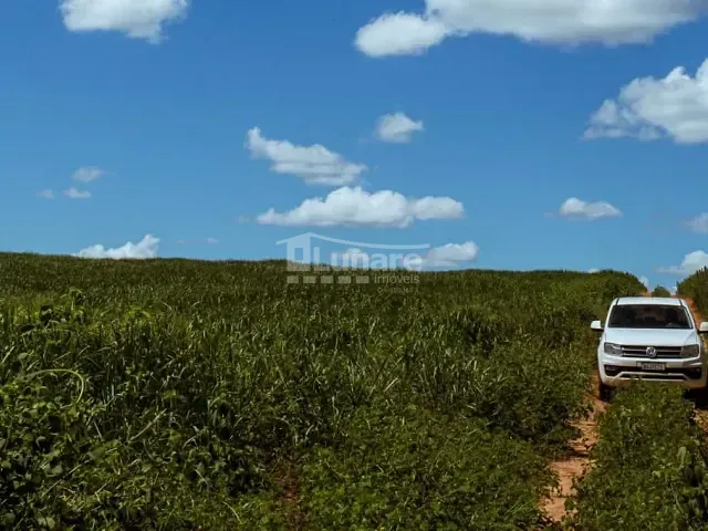 Fazenda com 9470000m², à venda, no bairro Zona Rural em Verdelândia