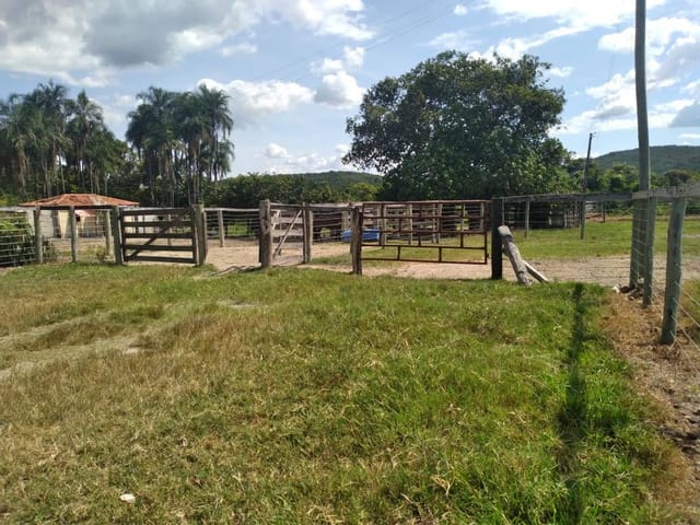Fazenda com 19360000m² 3 quartos e 2 banheiros, à venda, no bairro ZONA RURAL em Pontalina
