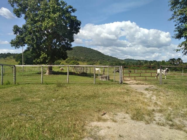 Fazenda com 19360000m² 3 quartos e 2 banheiros, à venda, no bairro ZONA RURAL em Pontalina