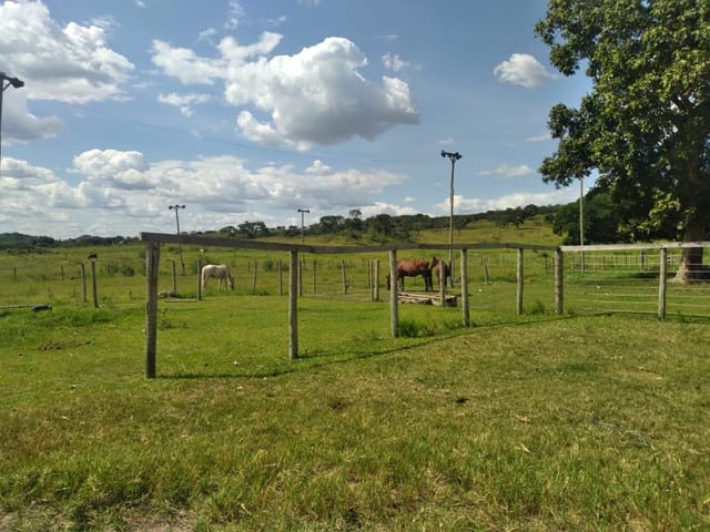 Fazenda com 19360000m² 3 quartos e 2 banheiros, à venda, no bairro ZONA RURAL em Pontalina