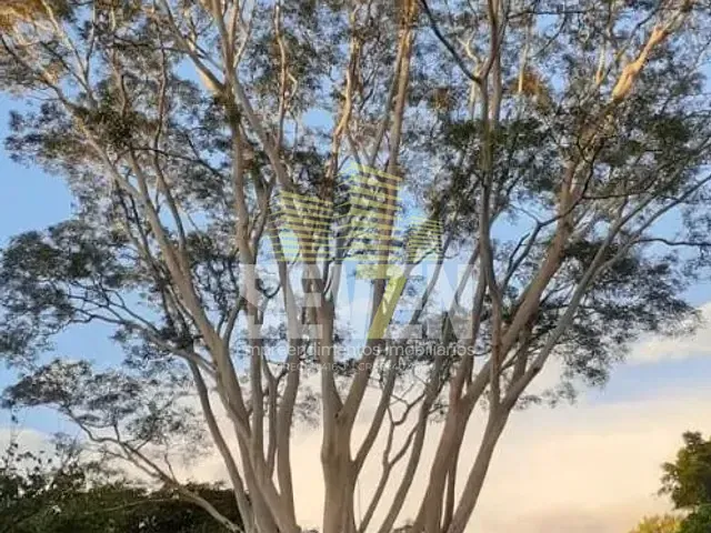 Fazenda com 12200m² 2 quartos e 2 banheiros, à venda, no bairro Zona Rural em Arealva