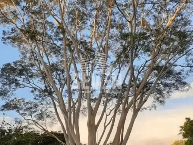 Fazenda com 12200m² 2 quartos e 2 banheiros, à venda, no bairro Zona Rural em Arealva