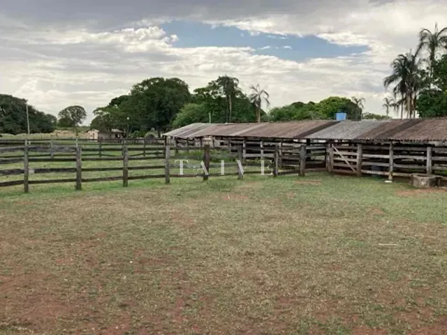 Fazenda com 30000000m² 3 quartos e 2 banheiros, à venda, no bairro CENTRO em Alto Garças