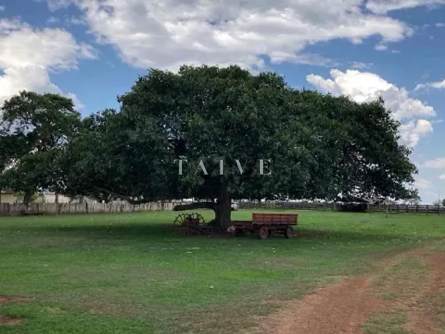 Fazenda com 30000000m² 3 quartos e 2 banheiros, à venda, no bairro CENTRO em Alto Garças