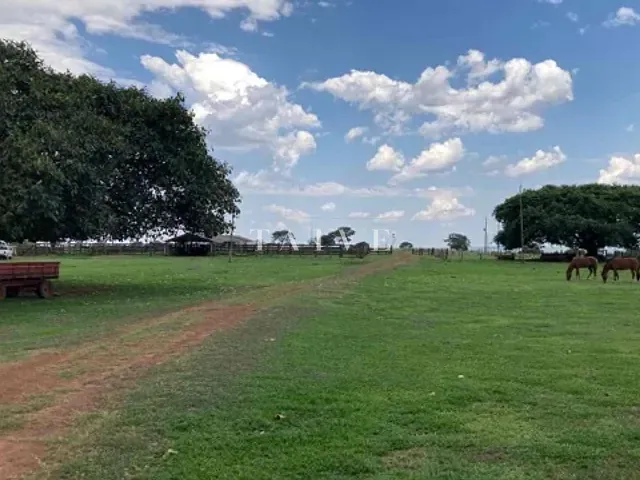 Fazenda com 30000000m² 3 quartos e 2 banheiros, à venda, no bairro CENTRO em Alto Garças