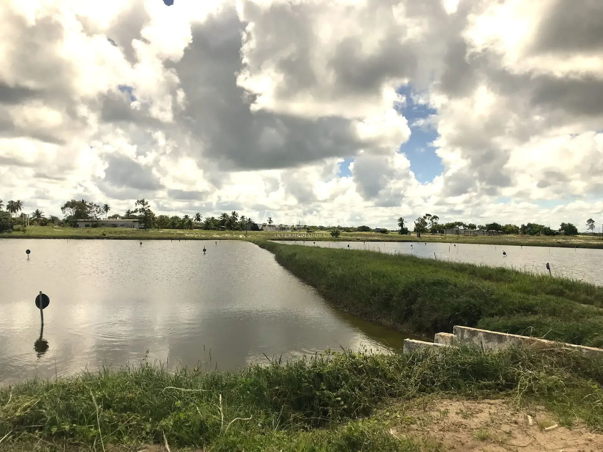 Fazenda, 1567 hectares - Foto 4