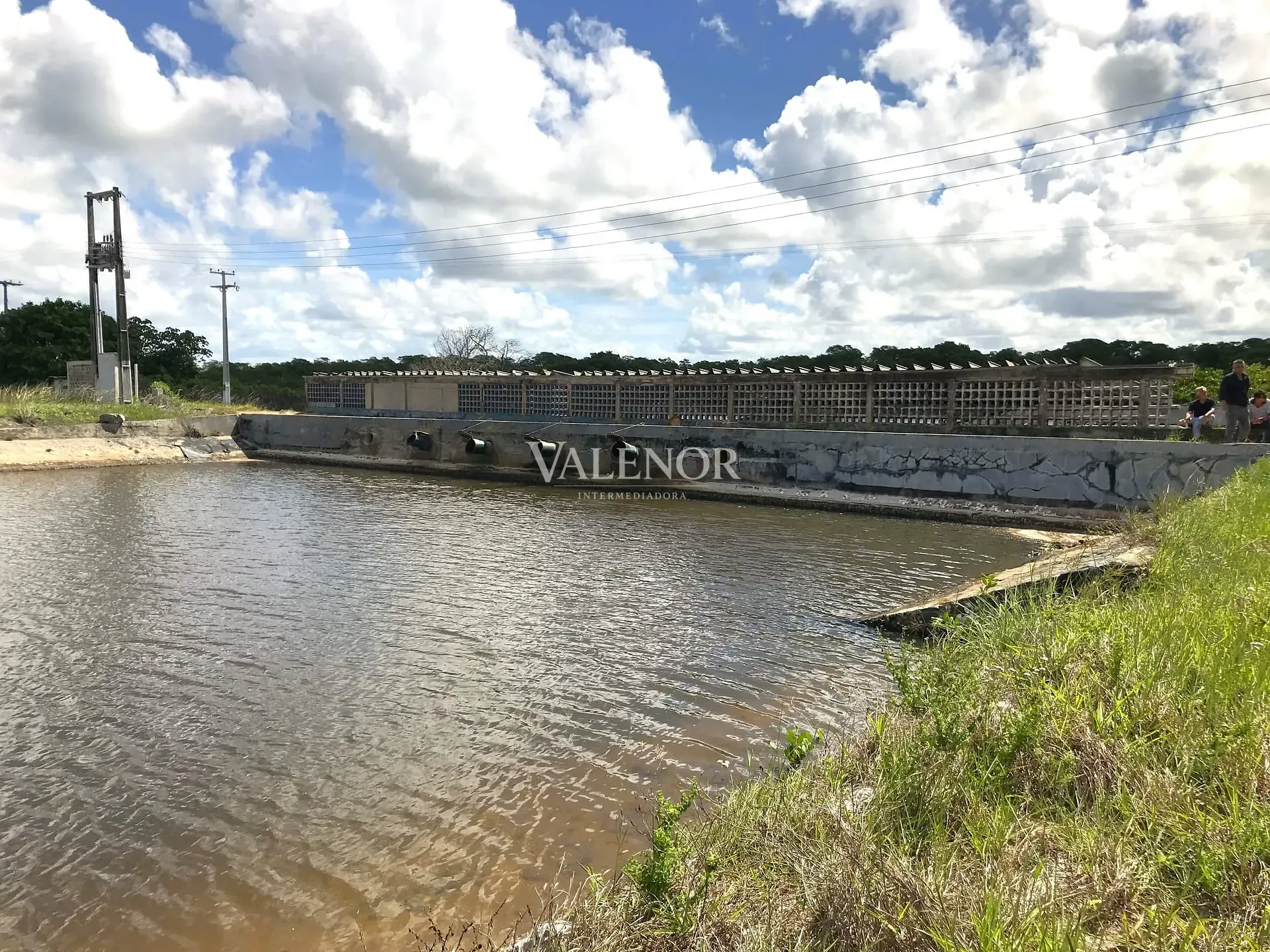Fazenda, 1567 hectares - Foto 6