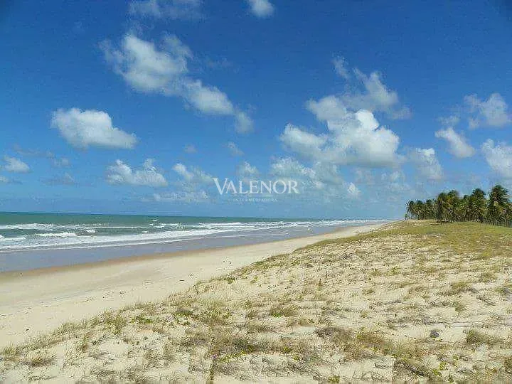 Fazenda, 1567 hectares - Foto 11