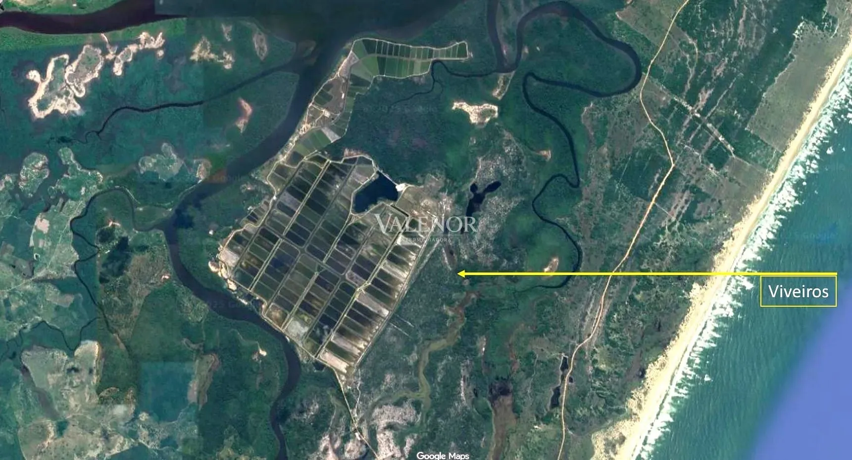 Fazenda, 1567 hectares - Foto 14