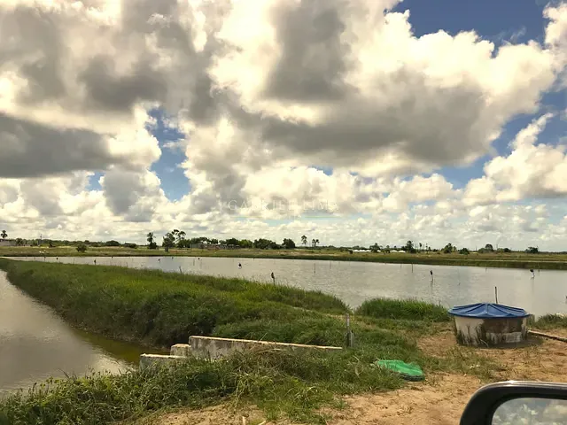 Fazenda com 15670000m² 2 quartos e 2 banheiros, à venda, no bairro Centro em Jandaíra
