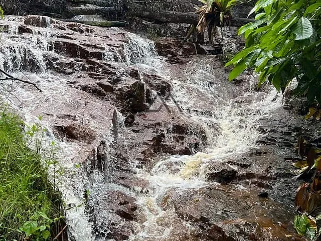 Fazenda com 330000m², à venda, no bairro Japu em Ilhéus