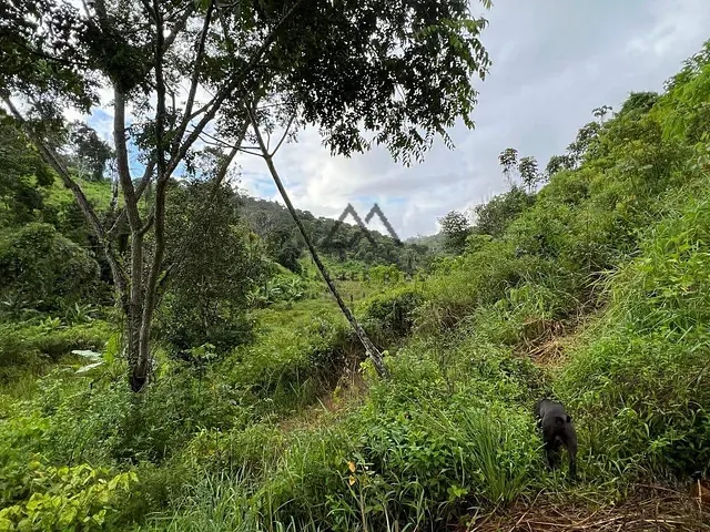 Fazenda com 330000m², à venda, no bairro Japu em Ilhéus