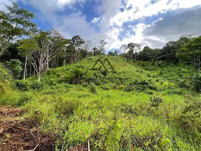 Fazenda com 330000m², à venda, no bairro Japu em Ilhéus