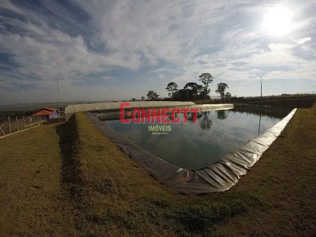 Fazenda com 135000m² 4 quartos e 5 banheiros, à venda, no bairro Zona Rural em Ribeirão Preto