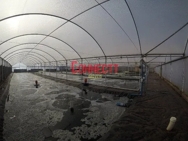Fazenda com 135000m² 4 quartos e 5 banheiros, à venda, no bairro Zona Rural em Ribeirão Preto